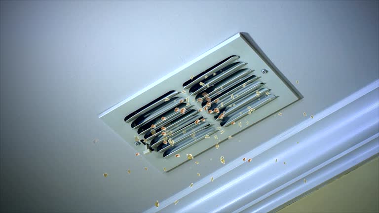 Best Home Air Vent Cleaning  in Montrose, NY