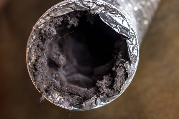 Best Local Air Duct Cleaning Services  in Montrose, NY