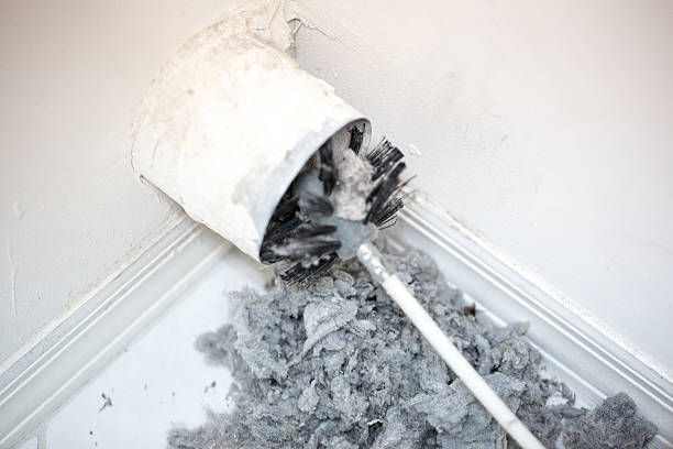 Best Affordable Duct Cleaning Services  in Montrose, NY